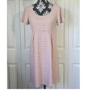 Rabbit Rabbit Rabbit Petite Blush Pink Lace Sheath Dress R3D888499RR2 Size 10P